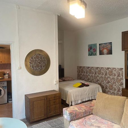 Frendlen Metsa Apartment Пярну Экстерьер фото